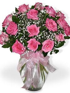 15 Pink Roses