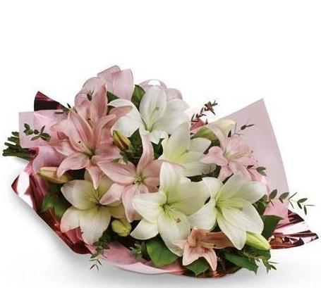 Pink and White Lilies