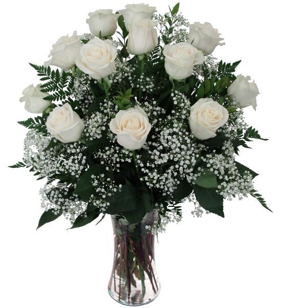 Twelve White Roses