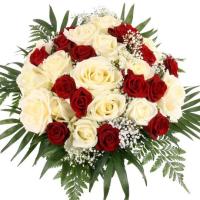 30 Red and White Roses