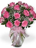 15 Pink Roses