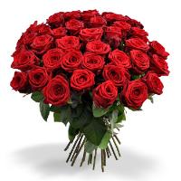 40 Red roses