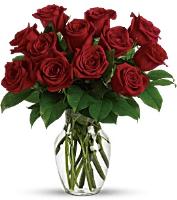 12 Red Roses