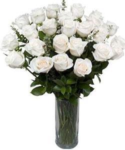 24 White Roses